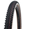Schwalbe Racing Ray - Evolution Line Speed TLE Fällbart Däck - 29x2.35 (60-622) Transparent Hud