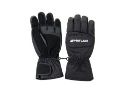 Whistler Slough - Handskar - Svart