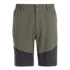 Whistler Avian - Outdoor Shorts - Grön / Svart